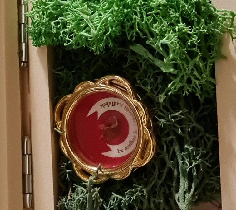 Relikwie bł. Wincentego